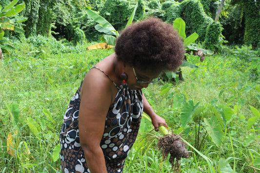 Katia Café-Febrissy