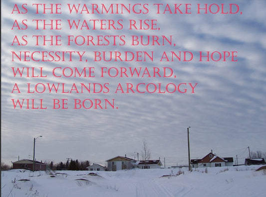 Denis Taman Bradette