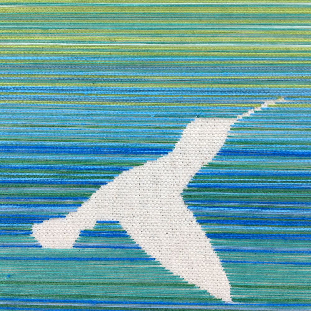 Hummingbird Inside Planet