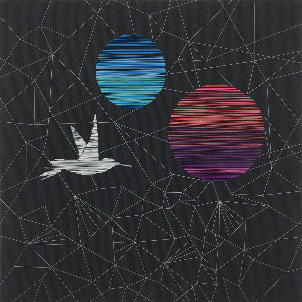 Nocturnal Interplanetary Hummingbird