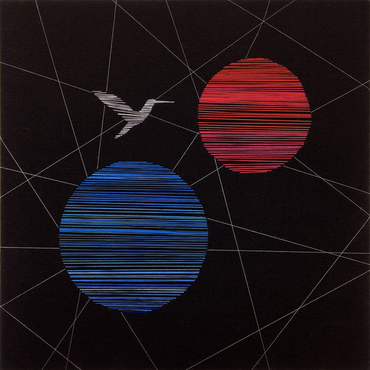 Nocturnal Network and hummingbird