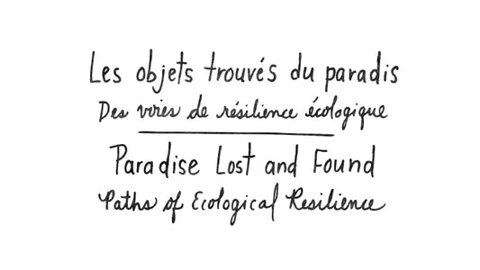 Les objets trouvés du paradis | Paradise Lost and Found