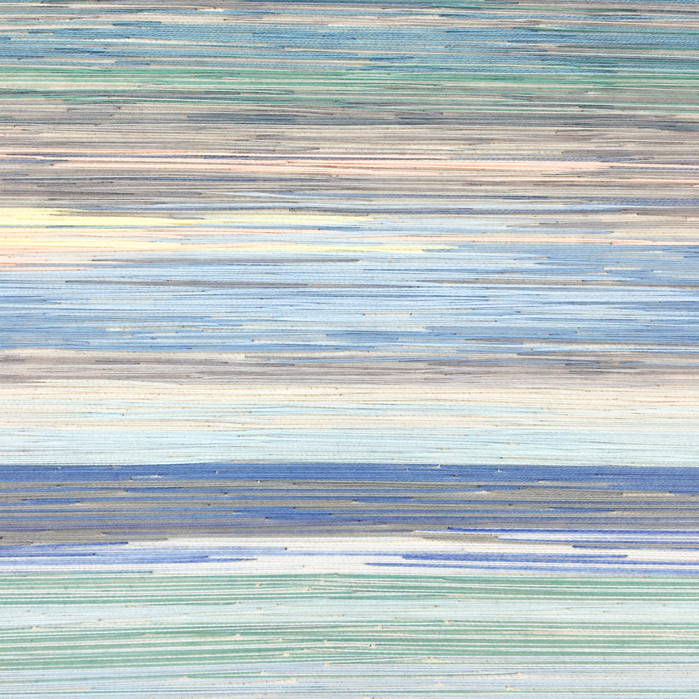 Chromascape January
