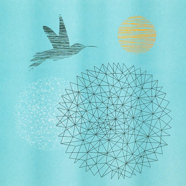 circular networks with hummingbird and sun