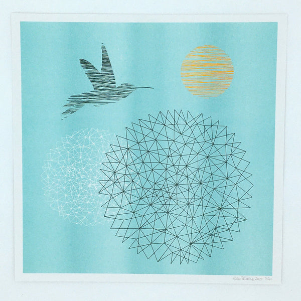 circular networks with hummingbird and sun