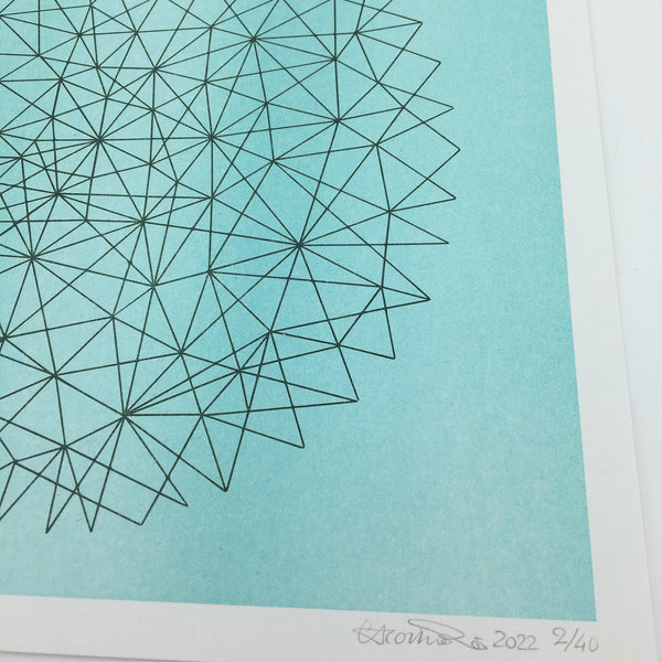 circular networks with hummingbird and sun