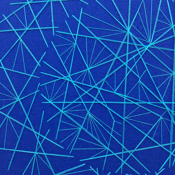 Double Circular Network